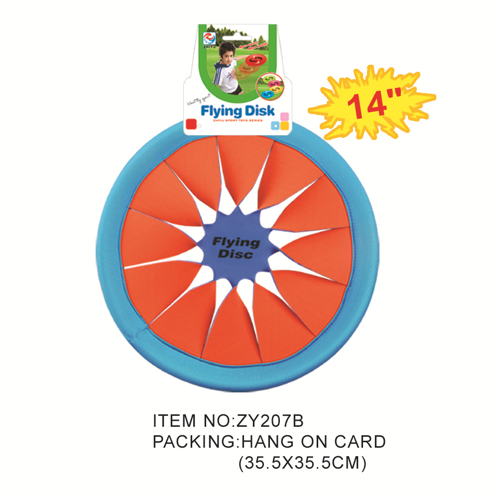 ZY207B
