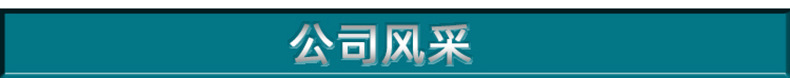 profile中文 阿里字体