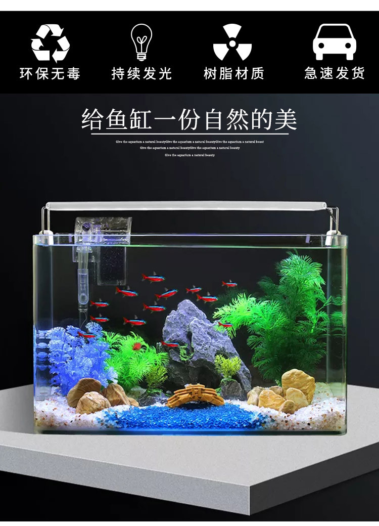 贝壳2_03.jpg