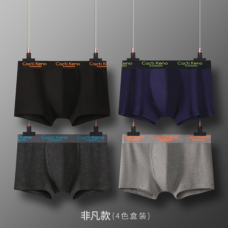 非凡款（4色盒装）