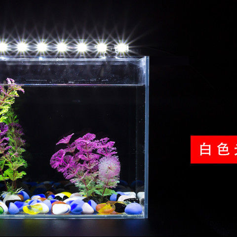 0f9fd6257850e62e274ccdaafe6e40