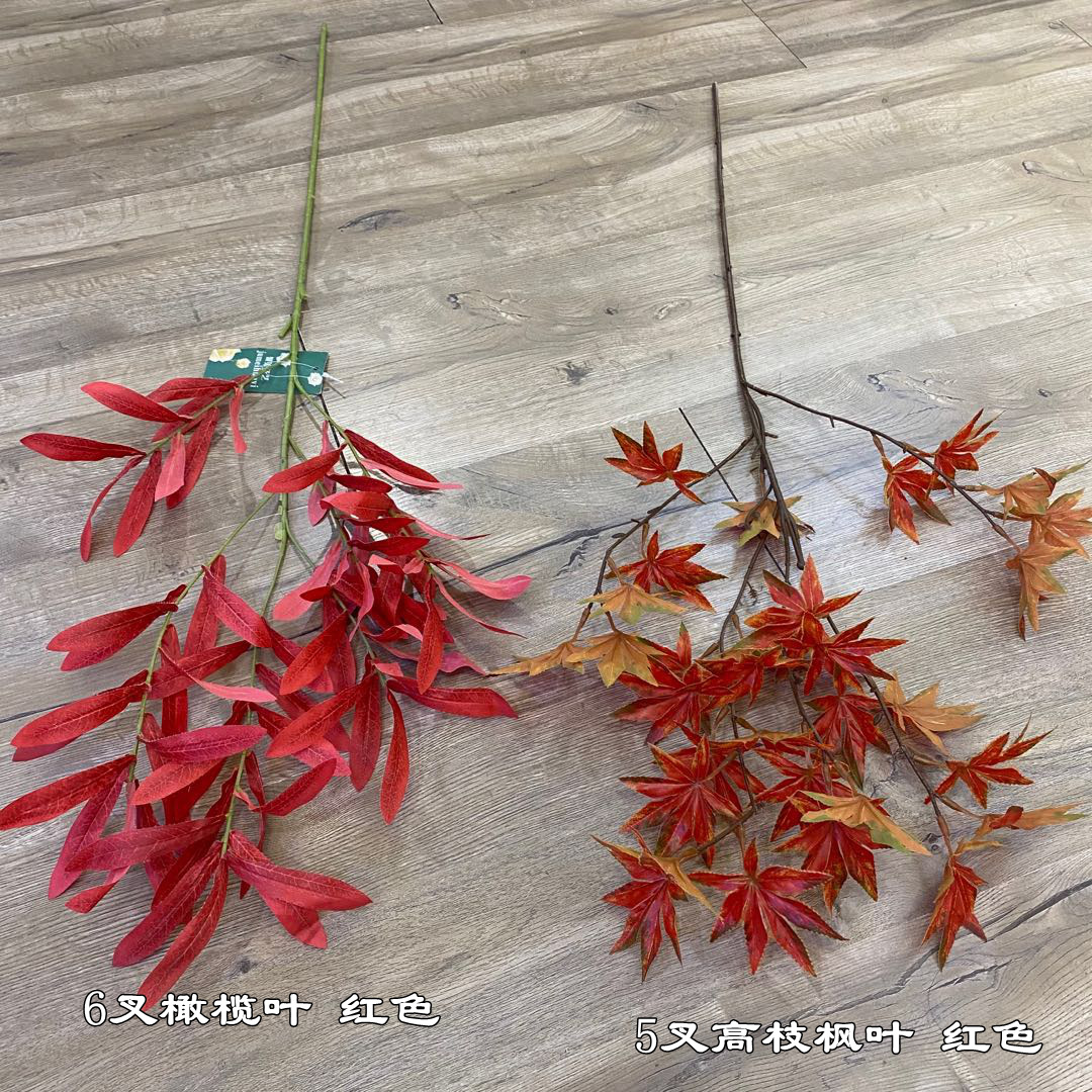 微信图片_20201026095926