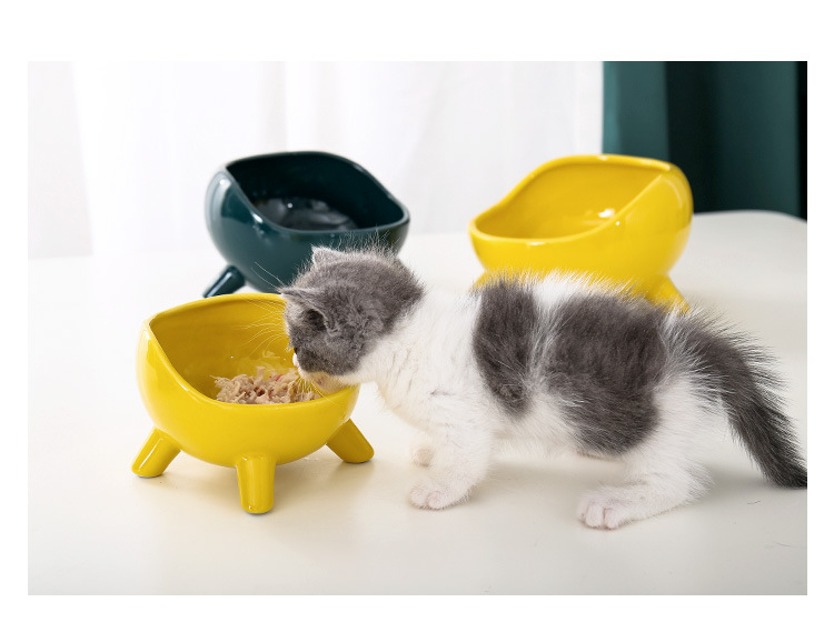 四脚猫碗_15.jpg