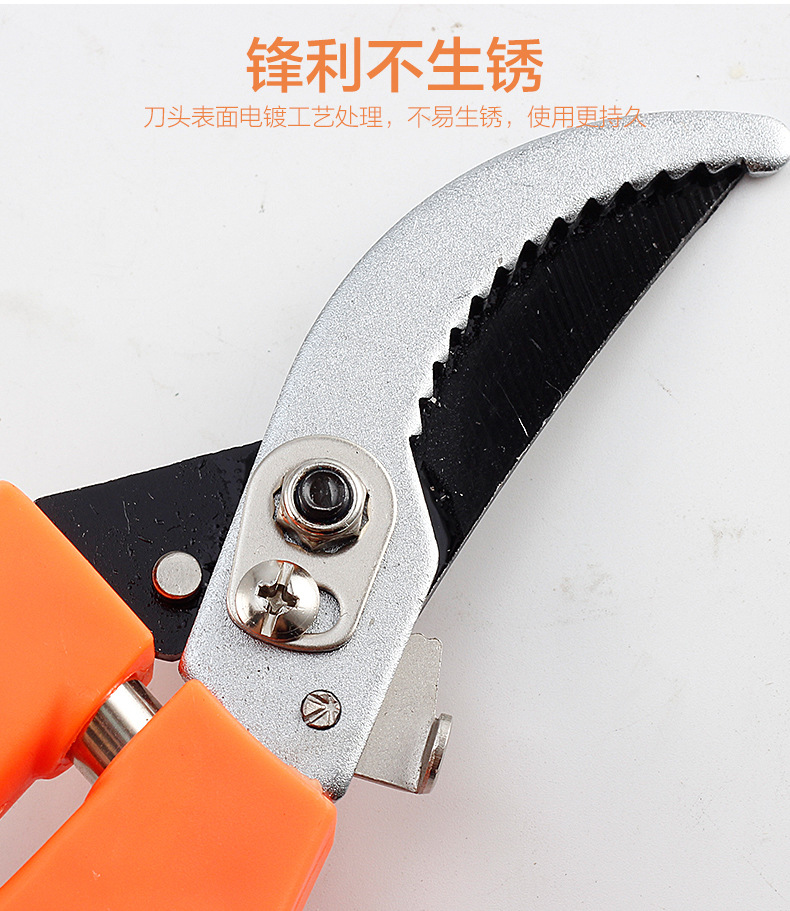 园林剪刀1_04.jpg