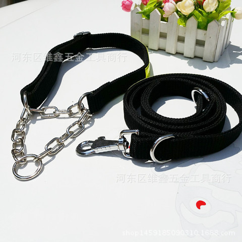 8539209255_1703329979