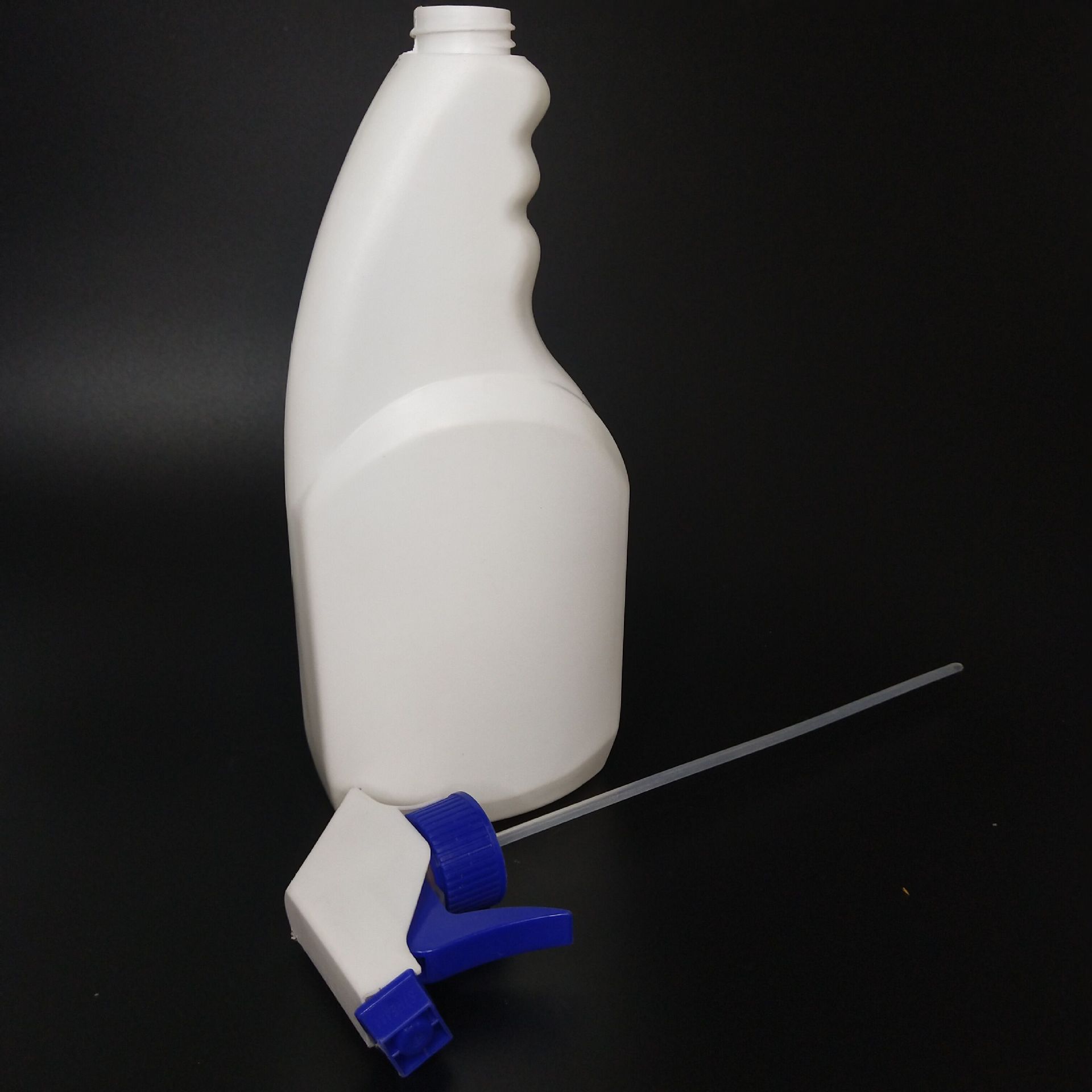 10496692525_400671035