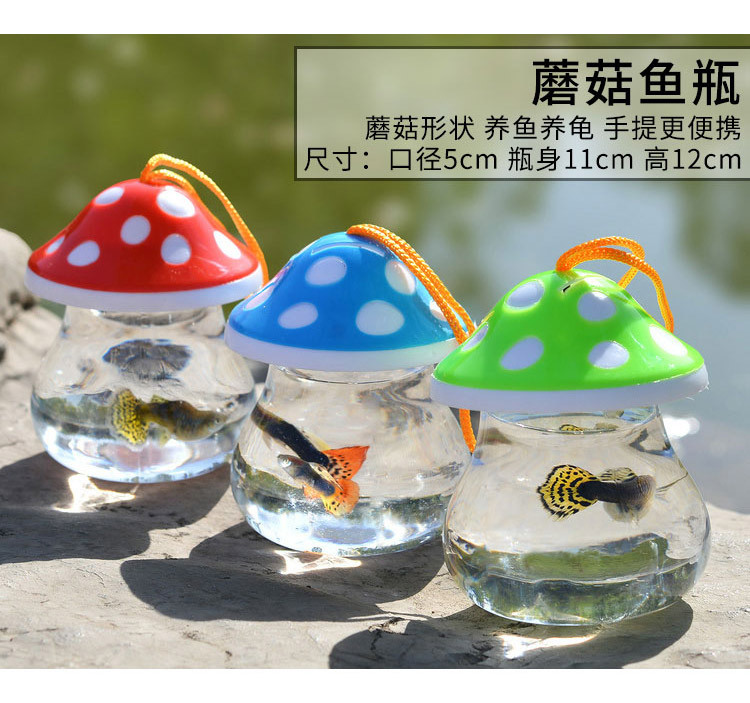 小鸡--小狗--蘑菇--乌龟--斗鱼杯_06