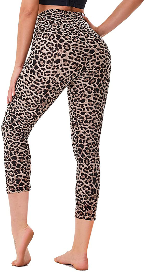 81lgNTU%2B--L._AC_UX569_