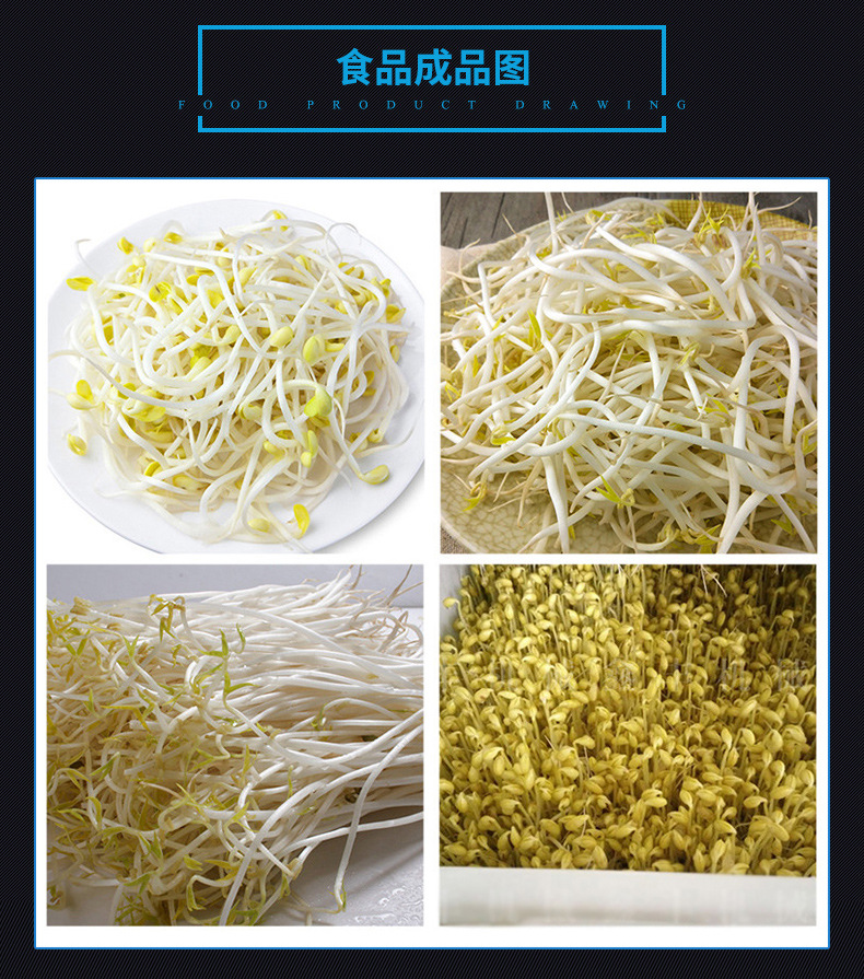 全自动豆芽机