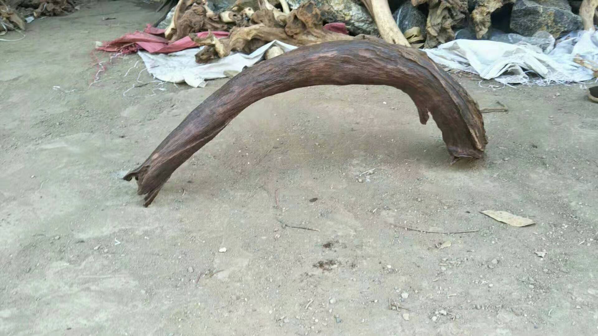 微信图片_20200107203503