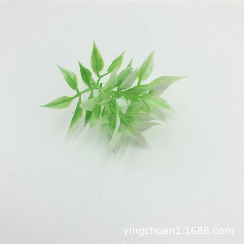 2020-06-03 171021.jpg