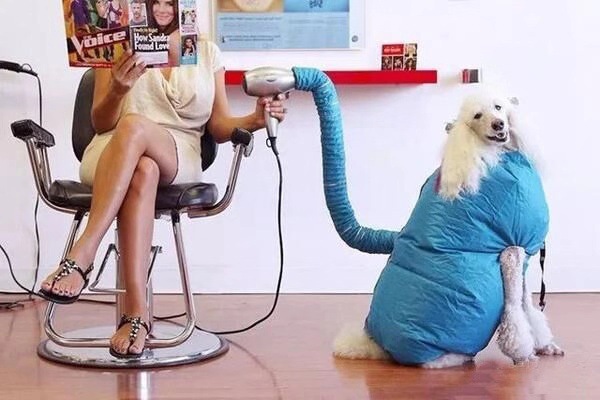 微信图片_20200904204828