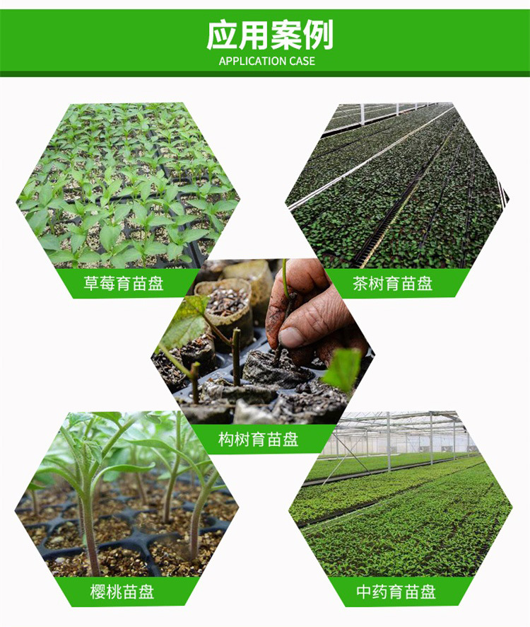 塑料盘750_16.jpg