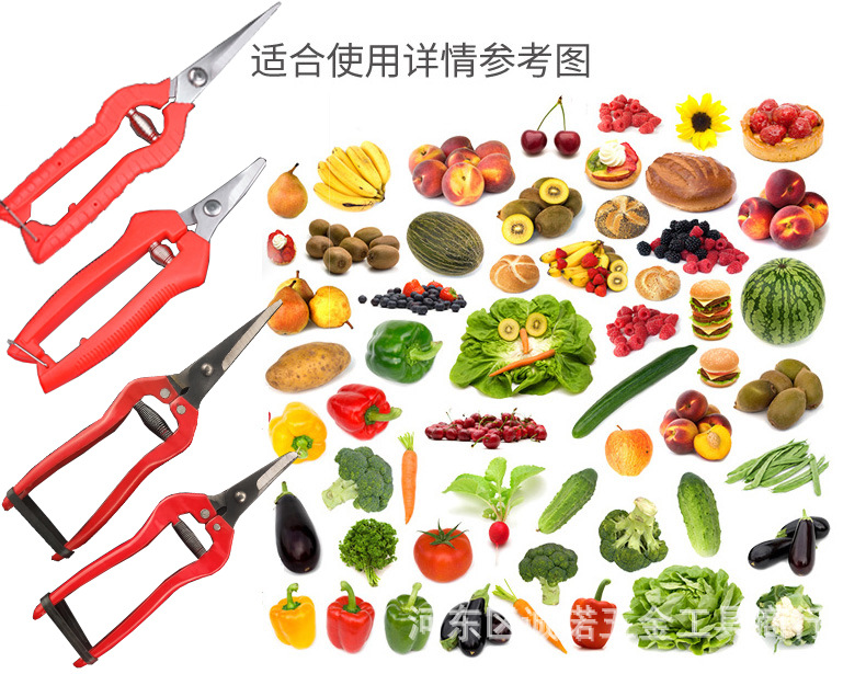 O1CN01LeKwRn1ssyomLWZk3_!!3408