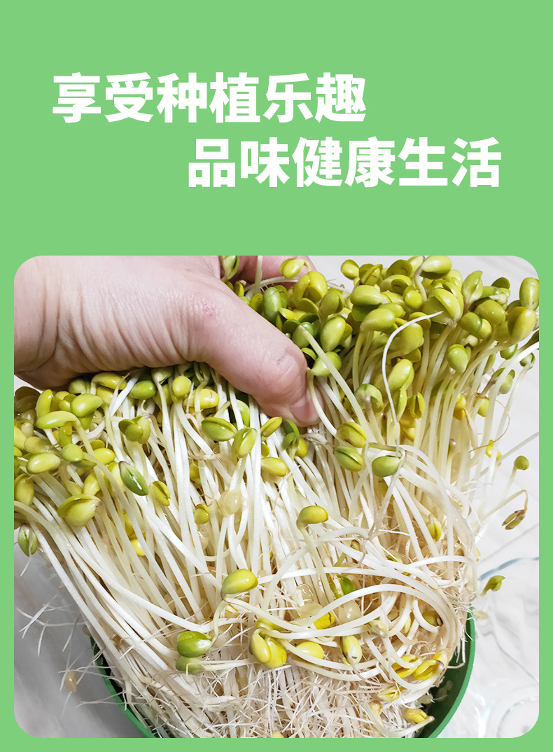 豆芽罐-里_10