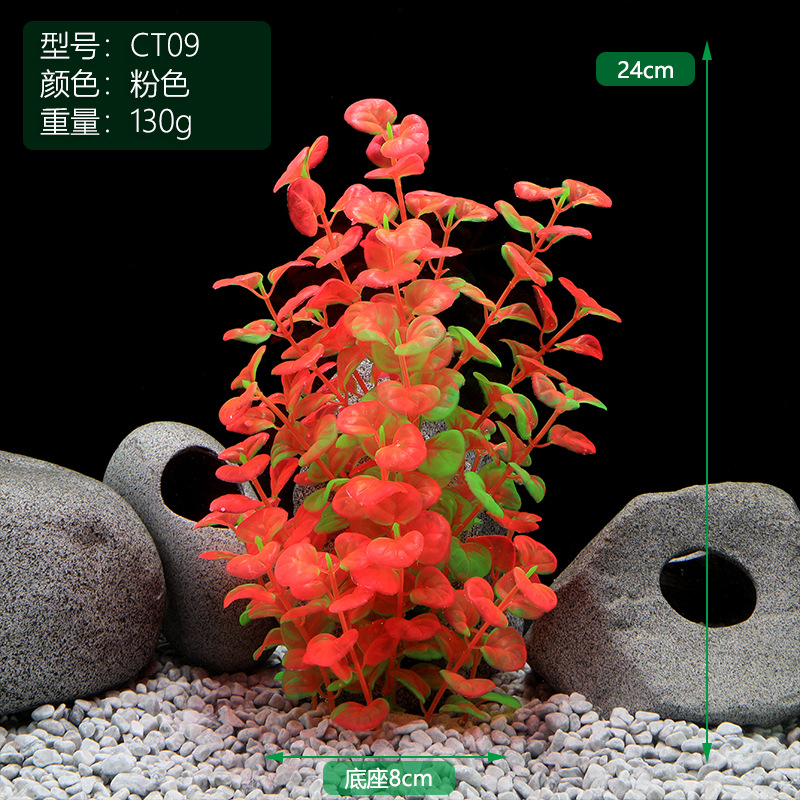 CT009粉色.jpg