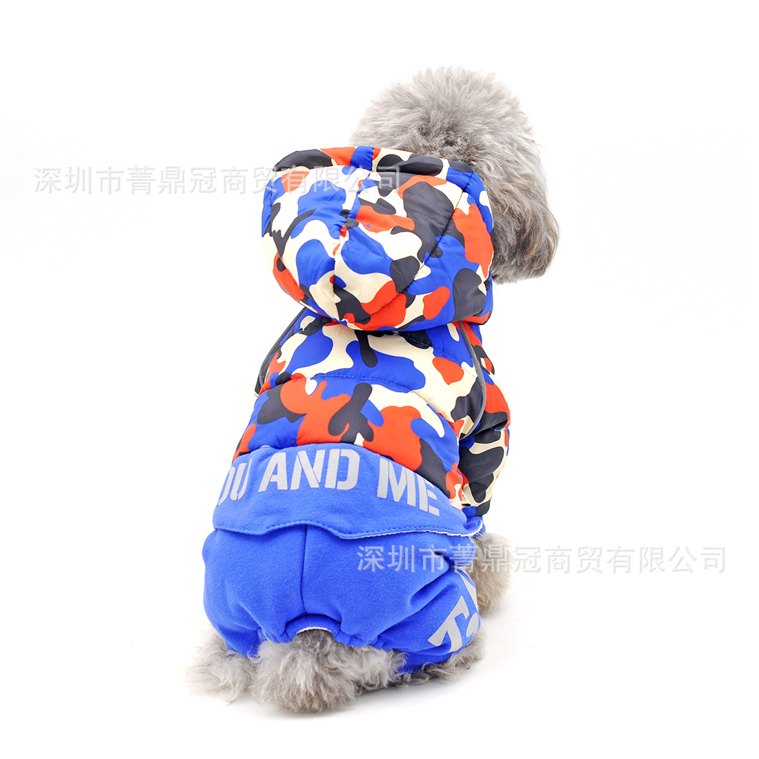 2020-8-6照片 176.JPG