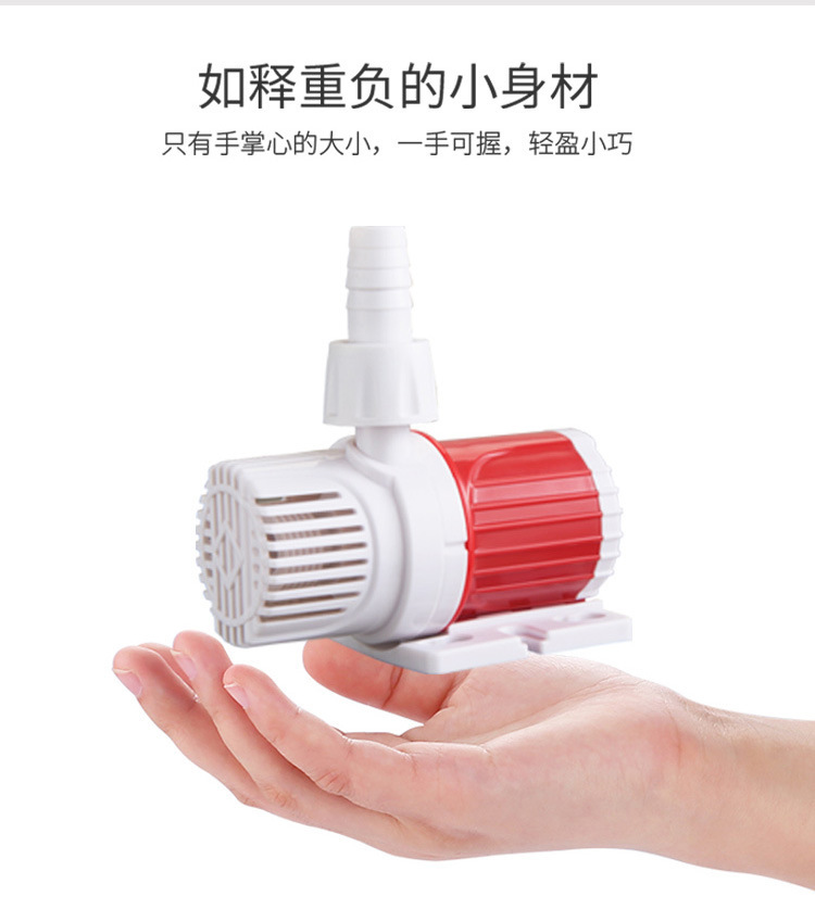 详情02.jpg