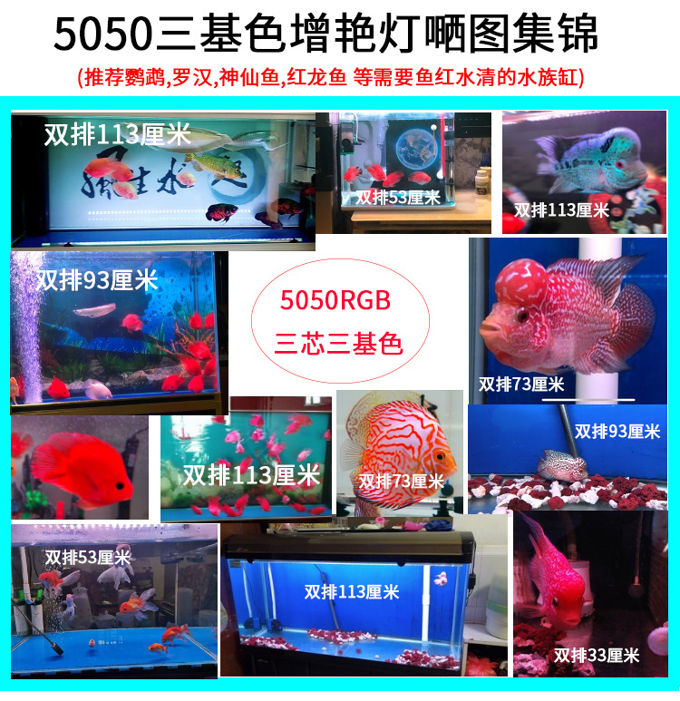 阿里鱼缸灯2020820_08.jpg