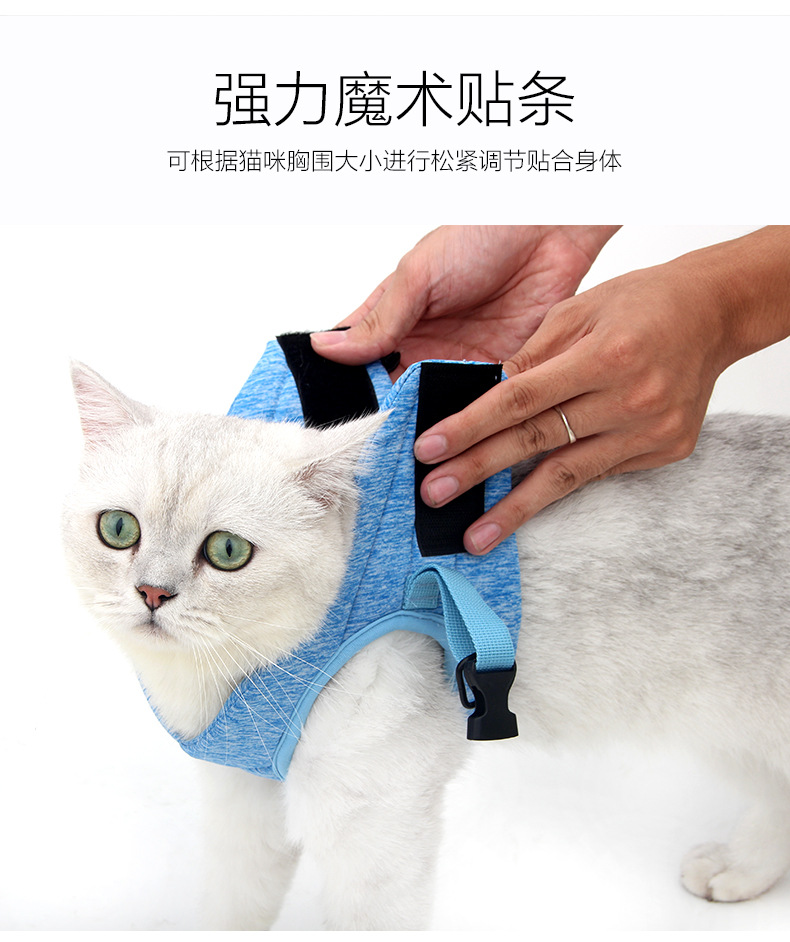 猫背带_07.jpg