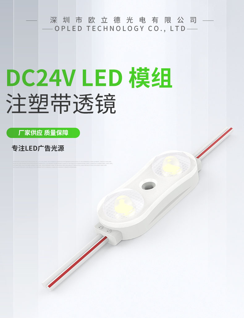 24V 1.0W 2灯模组 头图