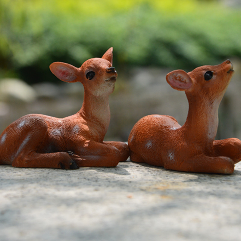 照片 633_副本.jpg