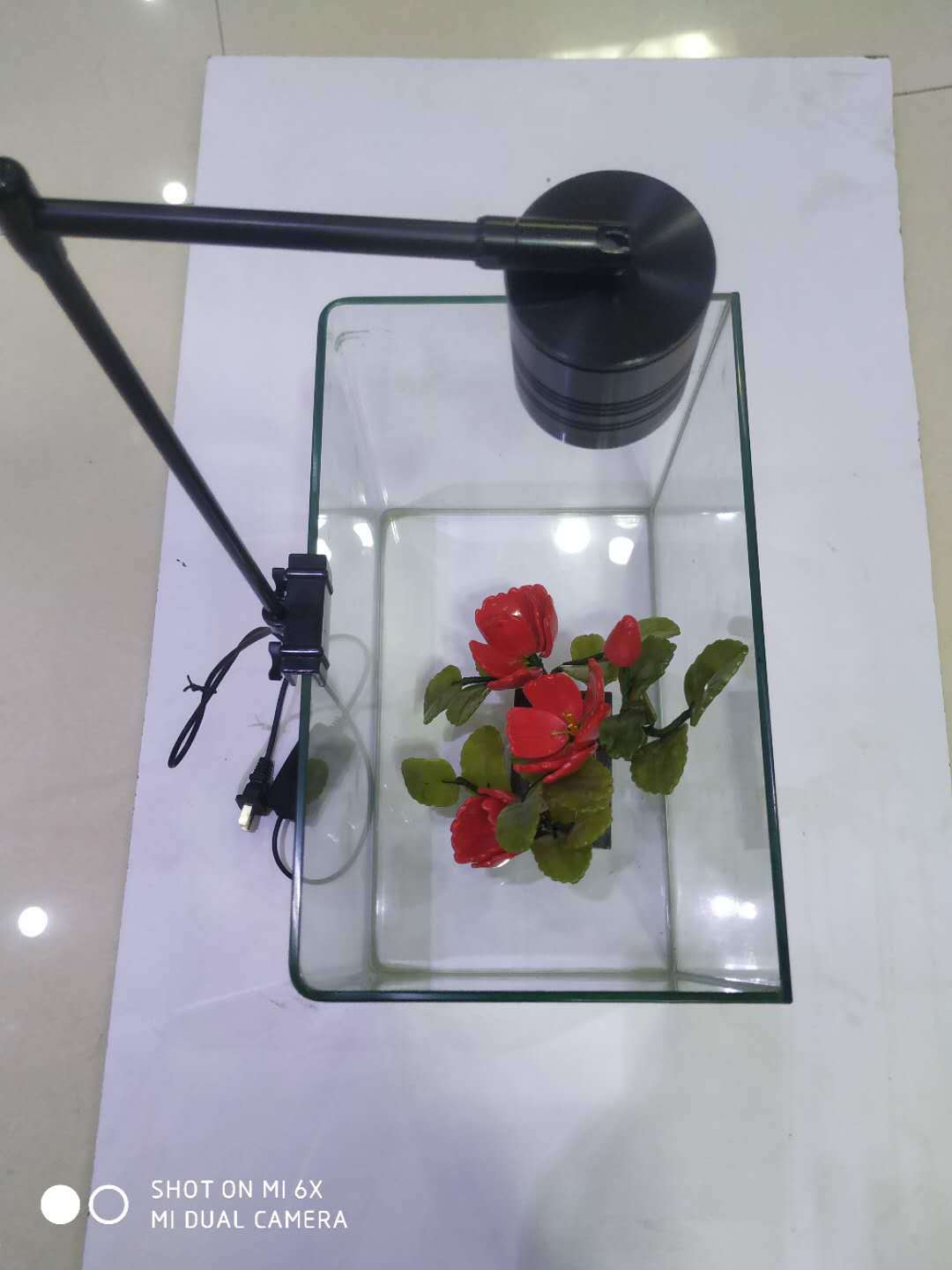 微信图片_20200411205304