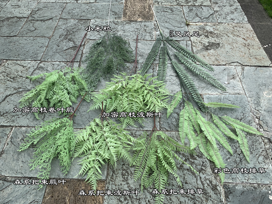 微信图片_20200817102407