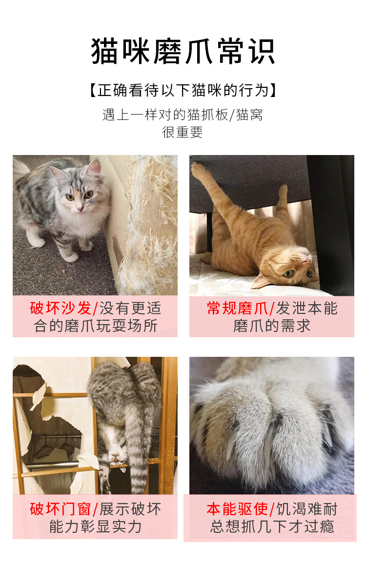 猫抓板窝_02.png