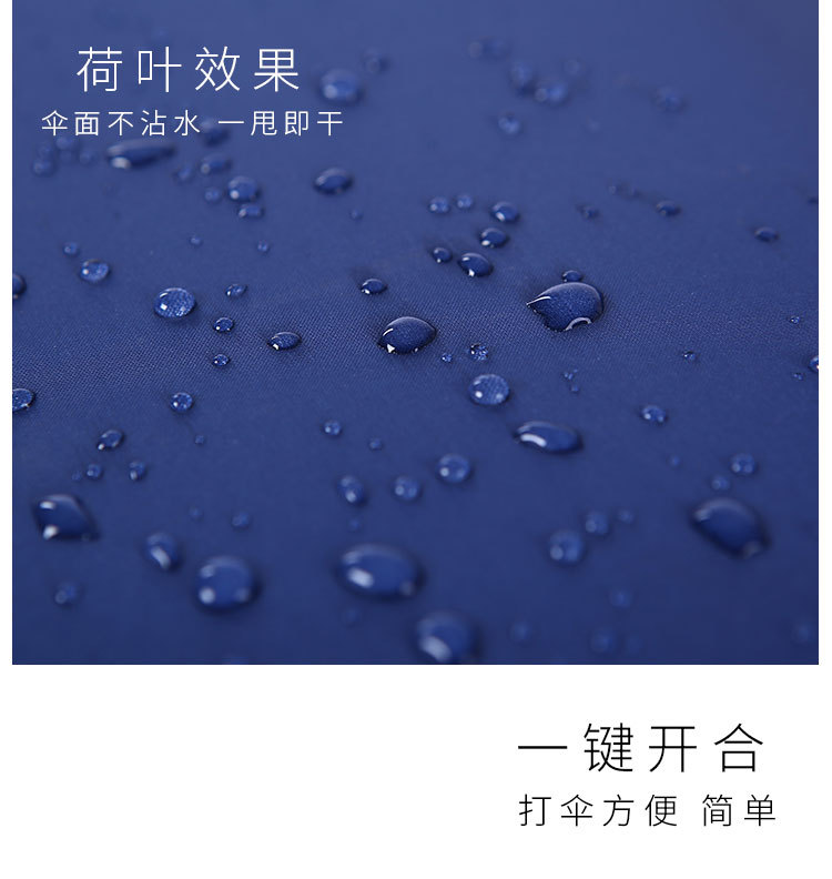 切片_04