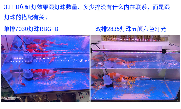 阿里鱼缸灯2020820_33.jpg