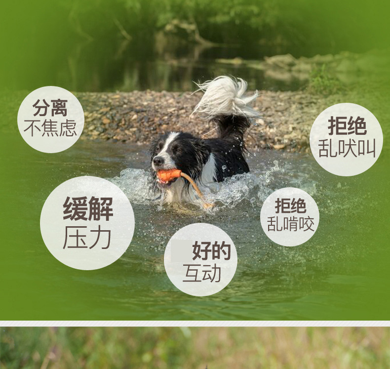 4283400900_310792737