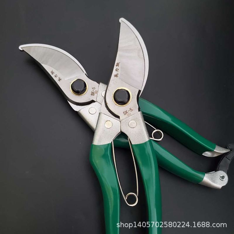 728461e4367bcb8617229f6df58e8f