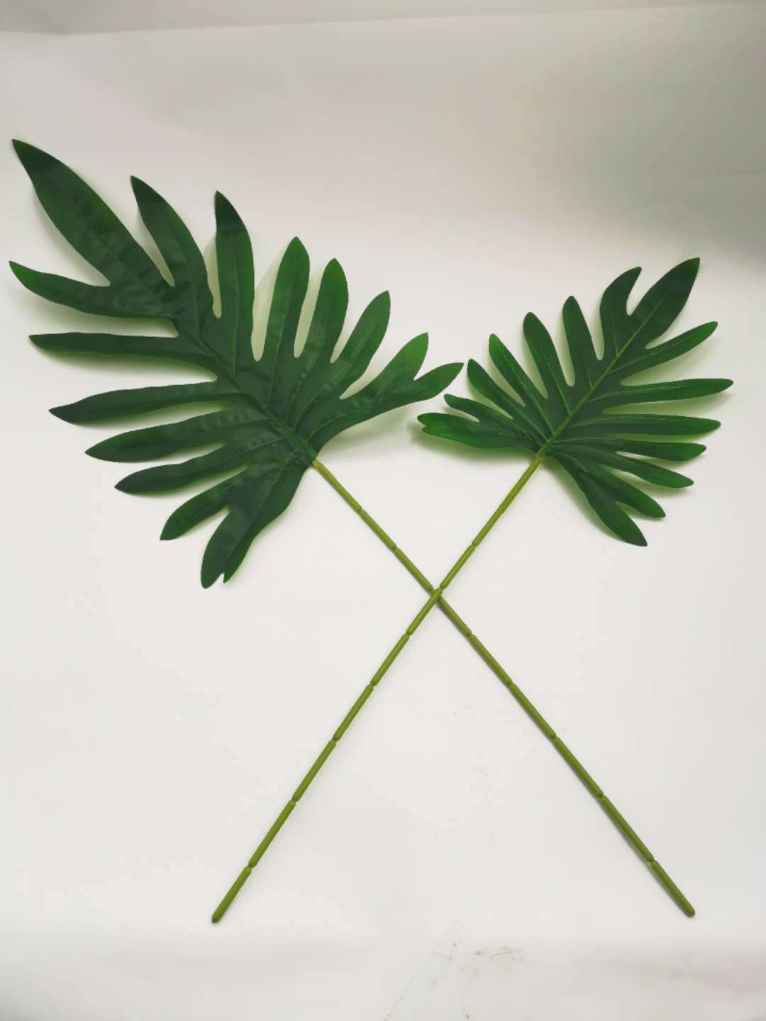 图片_20200311163355