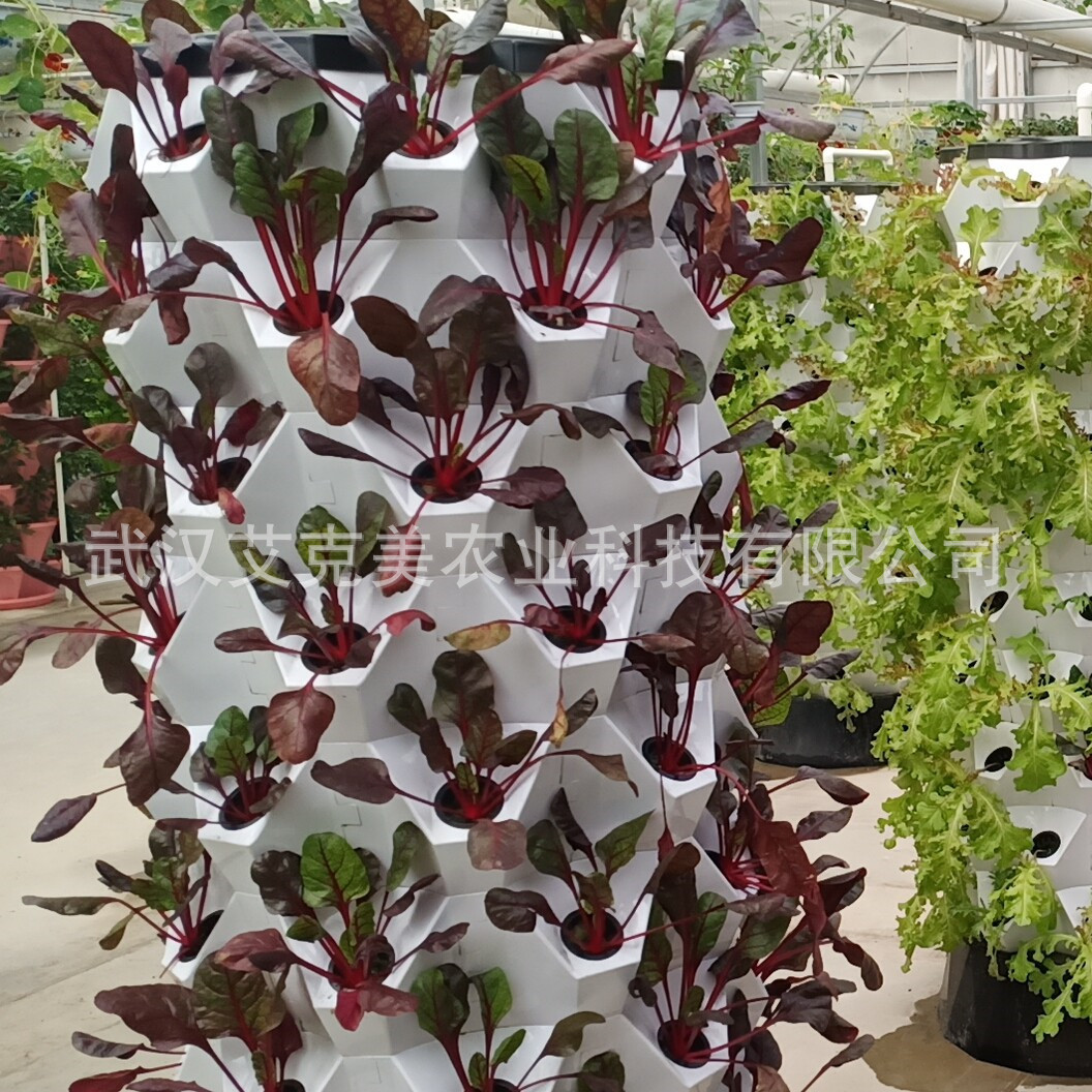 微信图片_20190906171807_副本