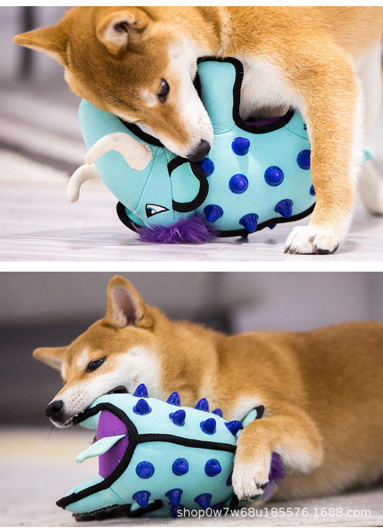Z9.jpg