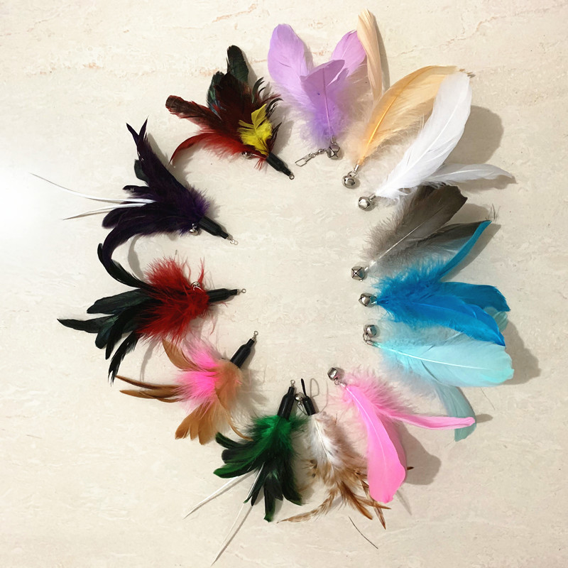 微信图片_20190619013719