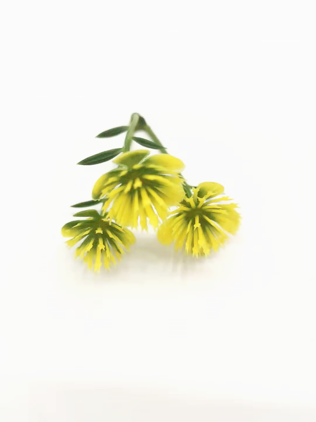 图片_20191213110605_副本