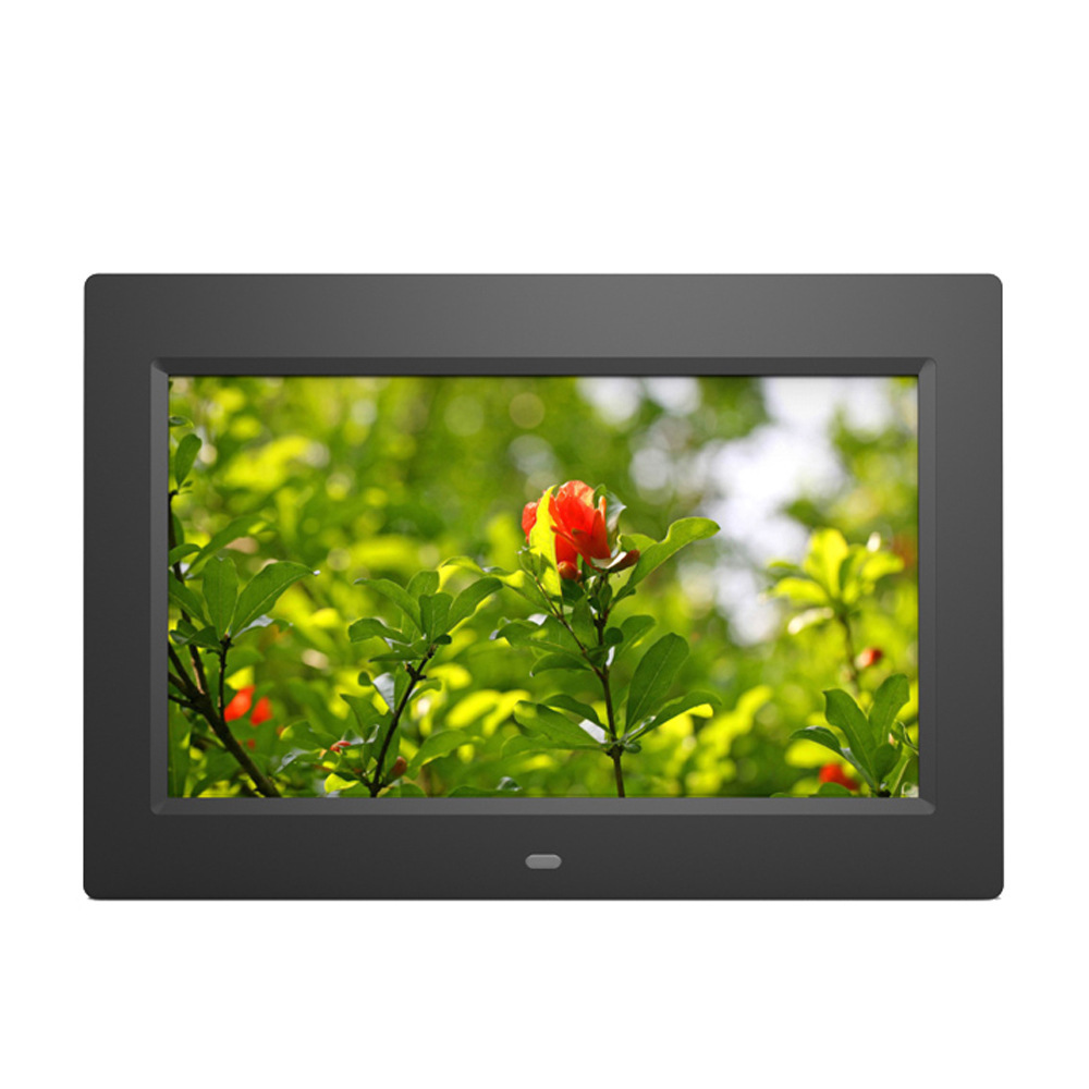 9387756276_1817826545