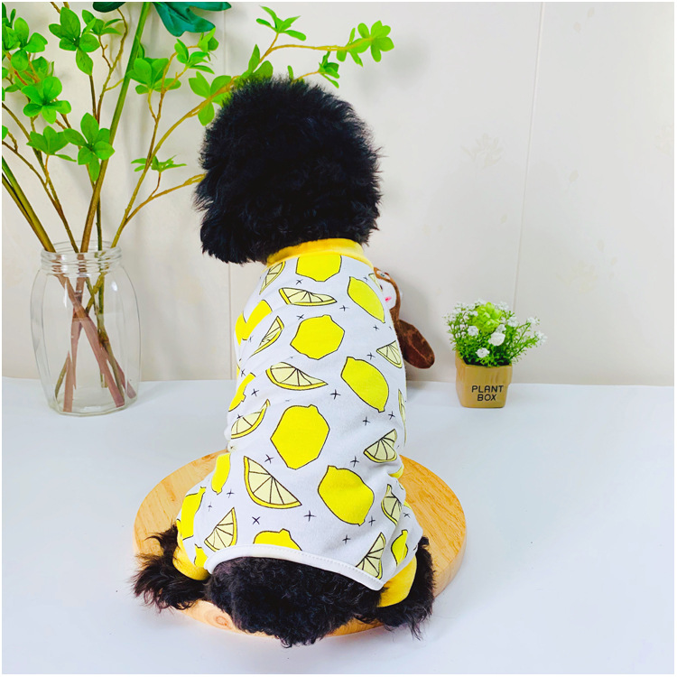 大草莓柠檬四脚