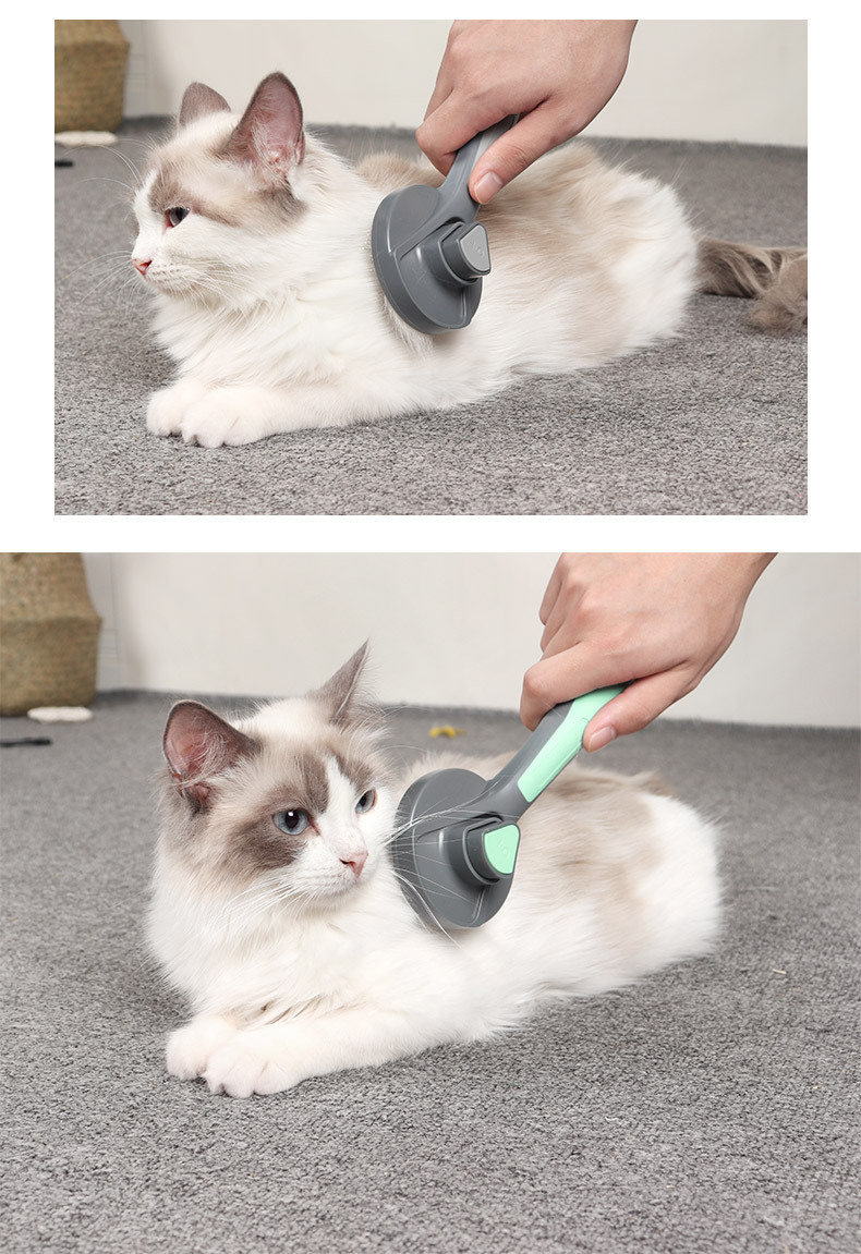 宠物一键除毛梳_11.jpg