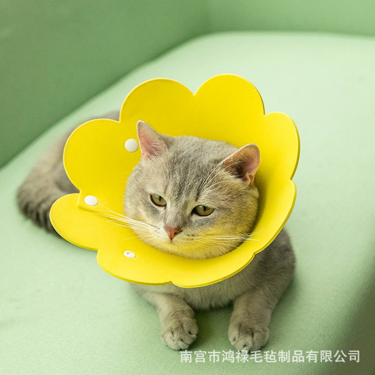 15511936152_1624998023