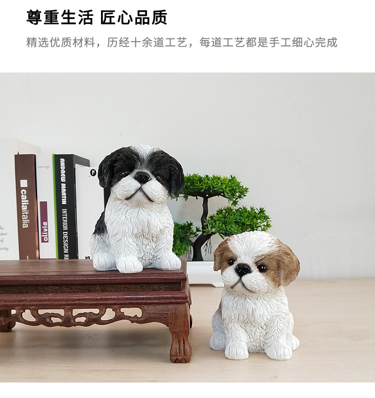 小西施幼犬_08.jpg