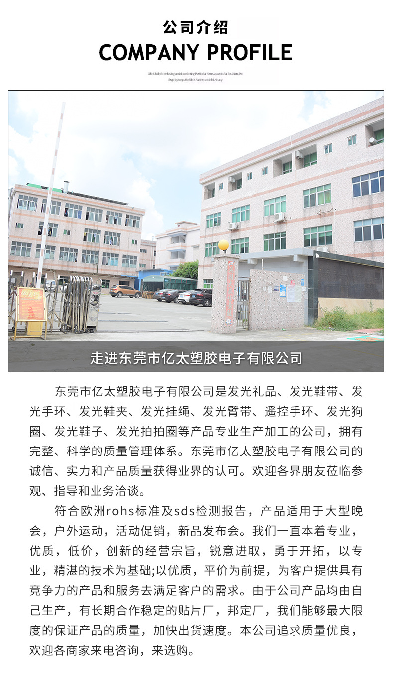 跨境爆款LED发光拉链灯夜间骑行露营发光钥匙扣警示灯可定制LOGO