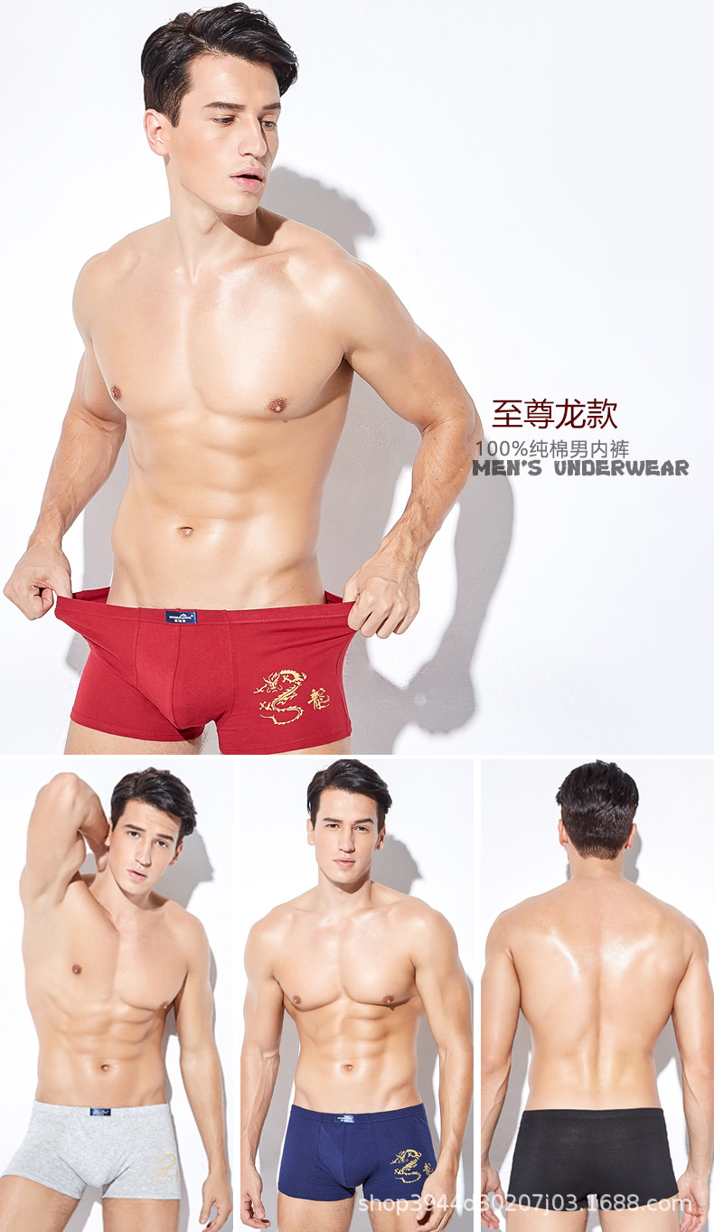 至尊龙.jpg