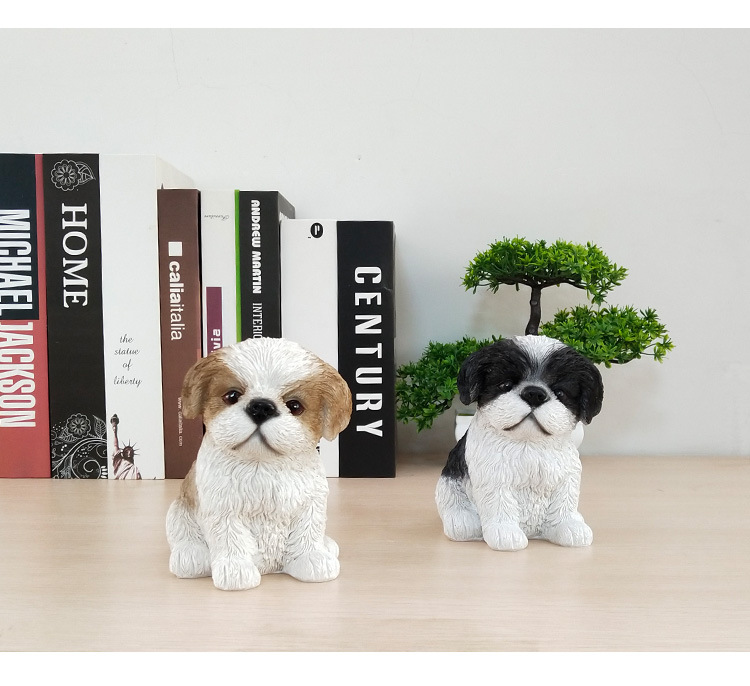 小西施幼犬_10.jpg