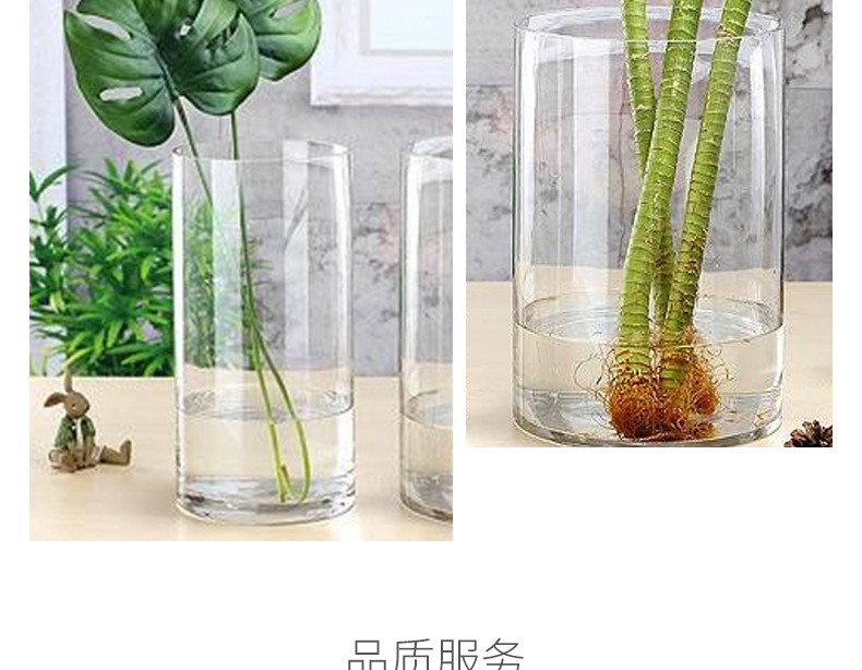 圆柱直筒玻璃花瓶_13