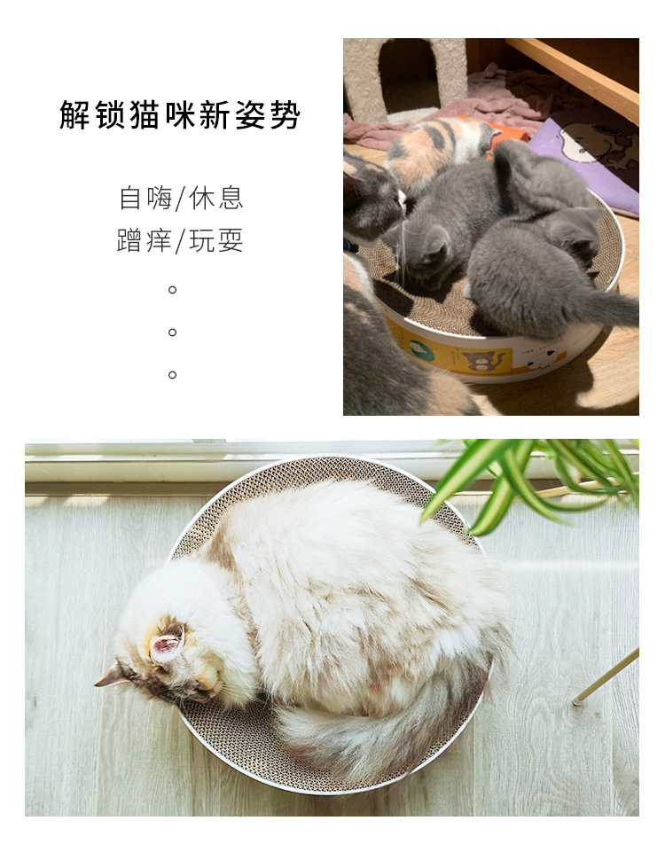 猫抓板窝_12.png