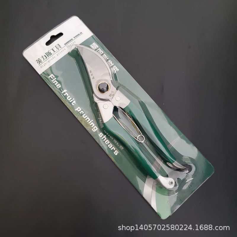 50cca82317324688967011831019f4