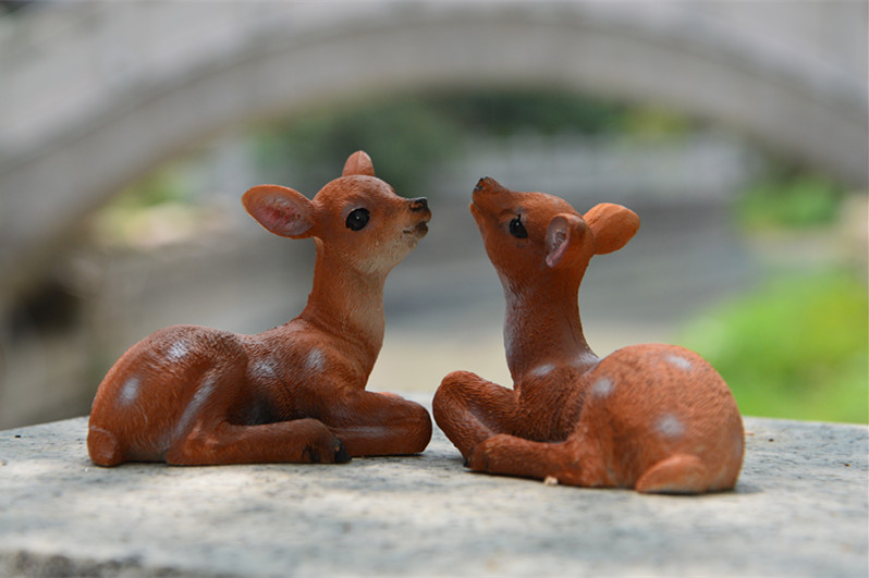 照片 632_副本.jpg